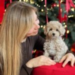Teacup Maltipoo For Sale USA